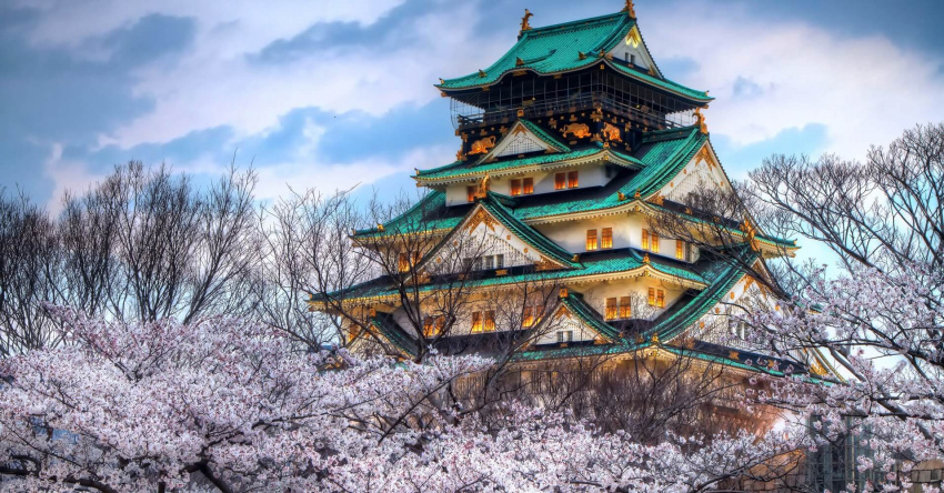 Top 8 Địa Điểm Ngắm Hoa Anh Đào Ở Osaka Đẹp Ngất Ngây
