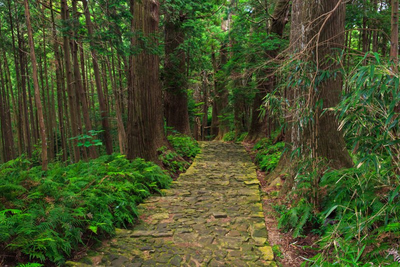 , ngắm cảnh, nhật bản, vẻ đẹp thiên nhiên và bầu không khí linh thiêng tại các vườn quốc gia ở kansai