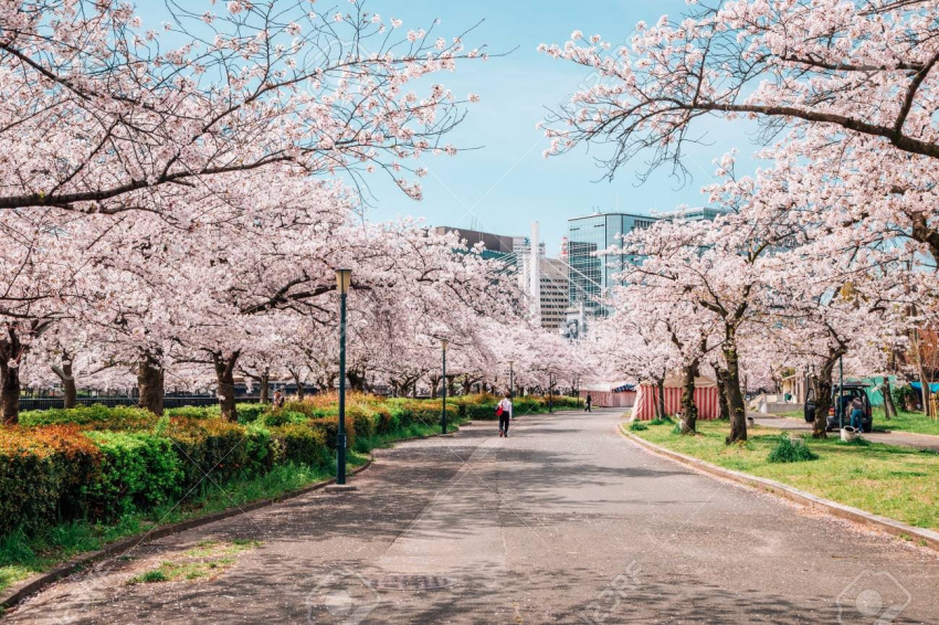 Top 9 Công Viên Ở Osaka Thu Hút Hàng Triệu Khách Du Lịch