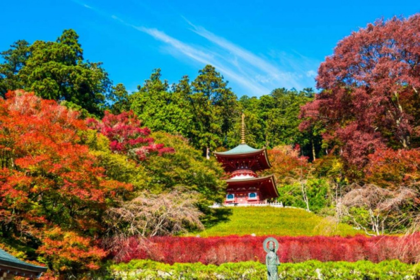 Thưởng Thức Vẻ Đẹp Thơ Mộng Của Top 7 Cảnh Đẹp Ở Osaka