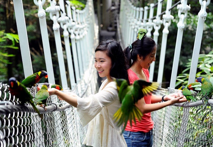 Khám phá vườn chim Jurong – một trong những khu bảo tồn chim lớn nhất thế giới