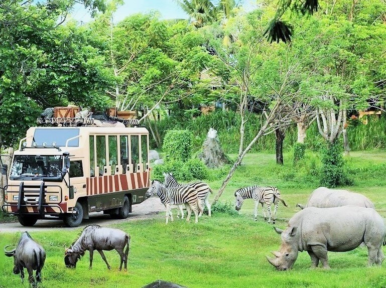 bỏ túi những kinh nghiệm du lịch safari phú quốc