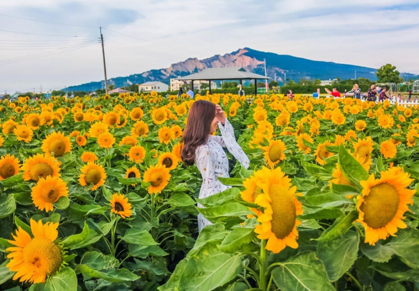 ăn gì ở đài trung, du lịch đài trung 1 ngày, du lịch đìa trung đài loan, địa điểm check in ở đài trung, điểm check in ở đài trung, điểm check in ở đài trung đẹp, hồ nhật nguyệt đài trung, miyahara đài trung, mua gì ở đài trung, những điểm check in ở đài trung, top 10 điểm check in ở đài trung bạn nhất định phải ghé