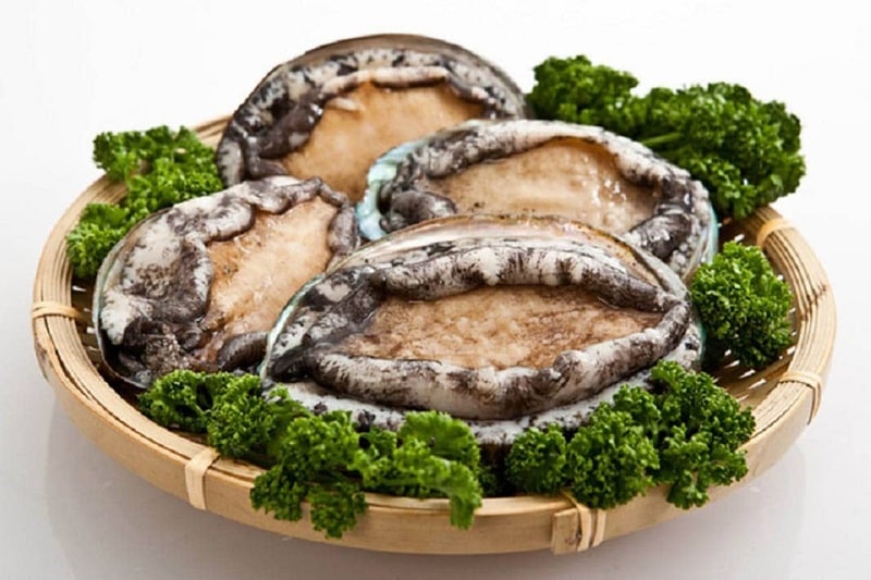 bào ngư phú quốc – hải sản qúy và bổ dưỡng mà khách du lịch không thể bỏ lỡ