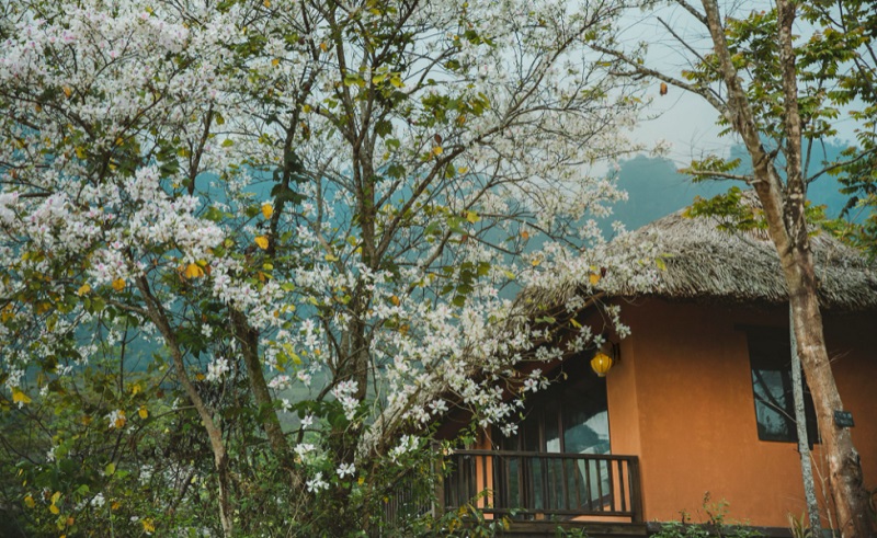 review avana retreat resort mai châu thiên đường nghỉ dưỡng ở hòa bình