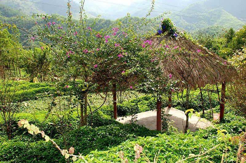 vé suối hoa đà nẵng – khu du lịch sinh thái giữa rừng nguyên sinh