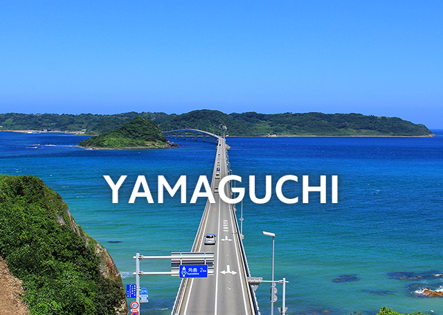 Top 10 địa điểm khiến bạn yêu từ cái nhìn đầu tiên khi đến Yamaguchi