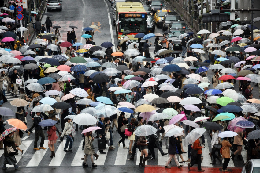 Đi qua ngày mưa dầm cùng những chiếc dù Nhật Bản