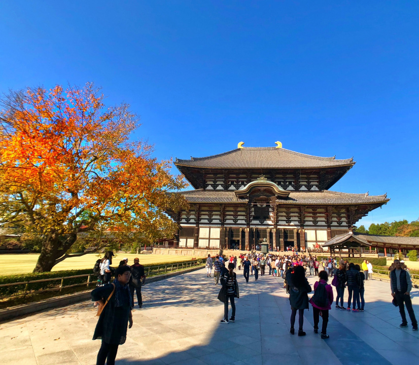 Tìm về miền di sản Nara