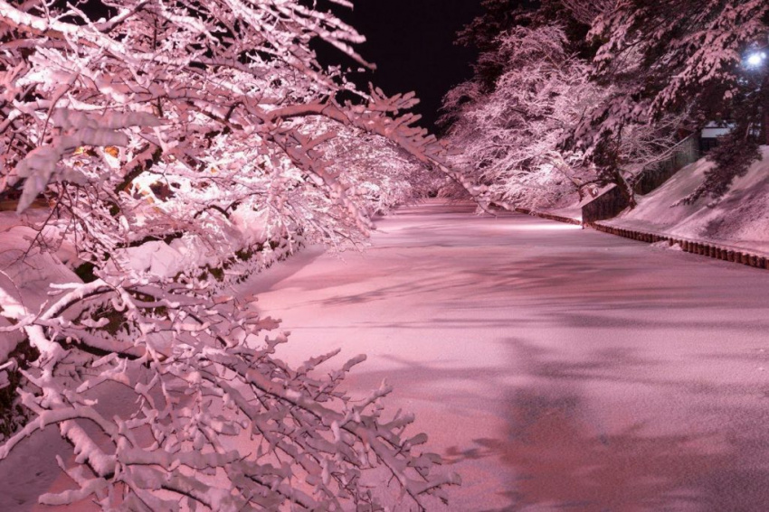 Những lễ hội thắp đèn mùa đông nổi tiếng ở Tohoku