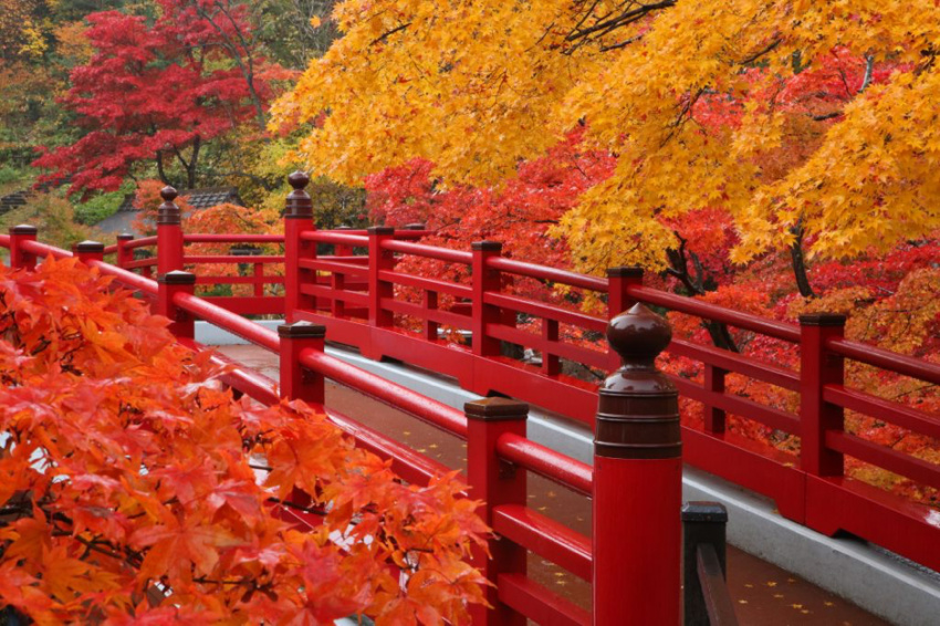 những điểm ngắm lá đỏ đẹp nhất tohoku, nagano, và niigata