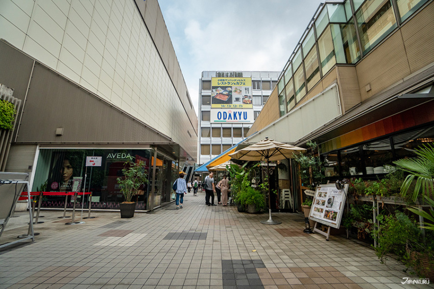 Bạn cần tìm điểm mua sắm tốt nhất ở Shinjuku?
