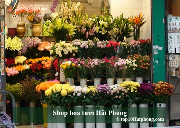 Top 10 cửa hàng hoa tươi đẹp mê mẩn ship tận nơi tại Hải Phòng