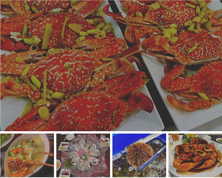 nhà hàng hoàng thao quy nhơn – trọn vẹn sự tươi ngon của hải sản