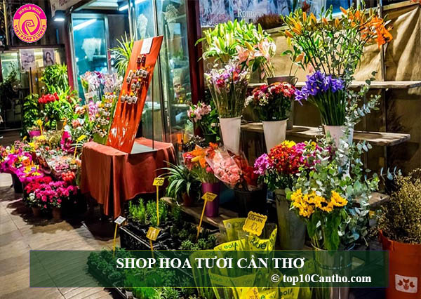 top 10 shop hoa đa chủng loại hoa tươi ninh kiều cần thơ
