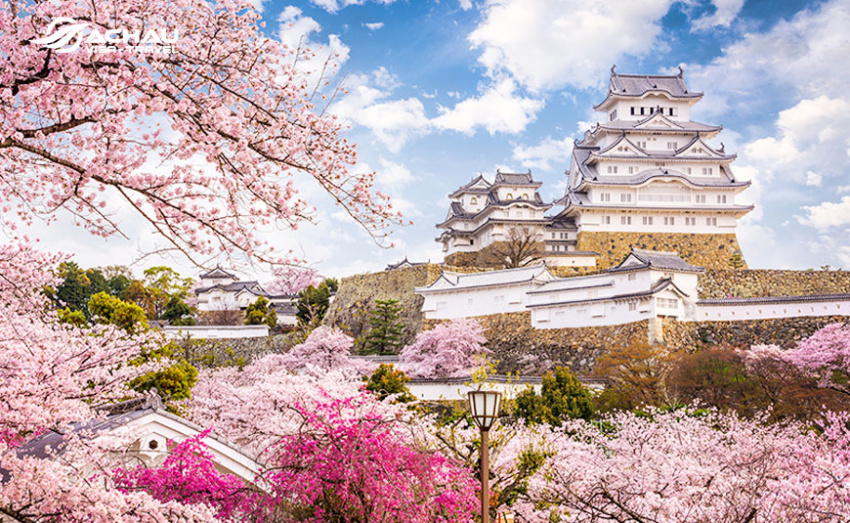 Lịch hoa anh đào nở 2019 ở Nhật Bản, Hàn Quốc và Đài Loan