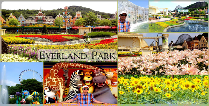 Khám phá công viên giải trí Everland ở Hàn Quốc