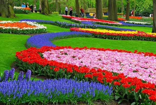 Những vườn hoa đẹp và nổi tiếng nhất thế giới