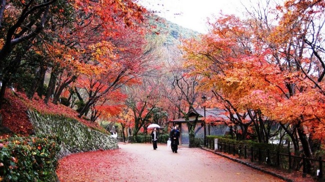 Tìm hiểu về cụm di tích cổ đô Kyoto ở Nhật Bản