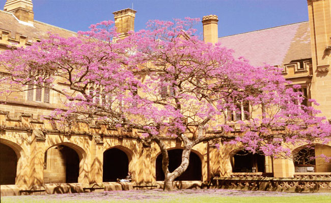 đại học sydney – trường đại học lâu đời nhất nước úc