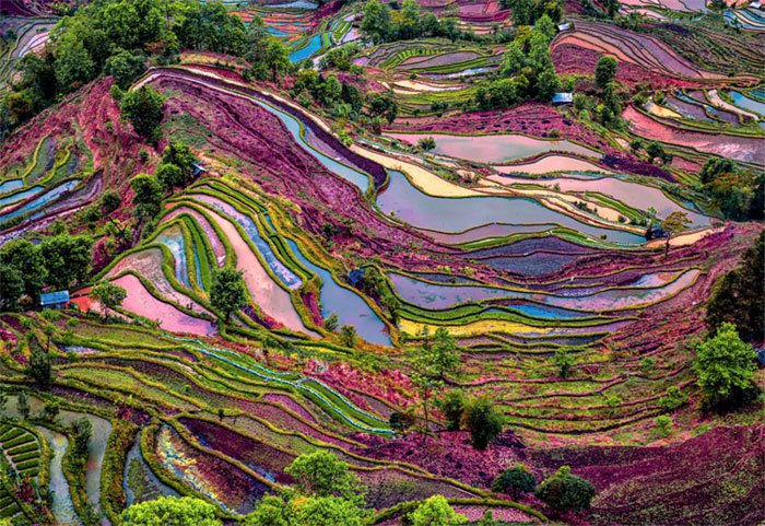 ruộng bậc thang hani hồng hà đa màu sắc ở trung quốc