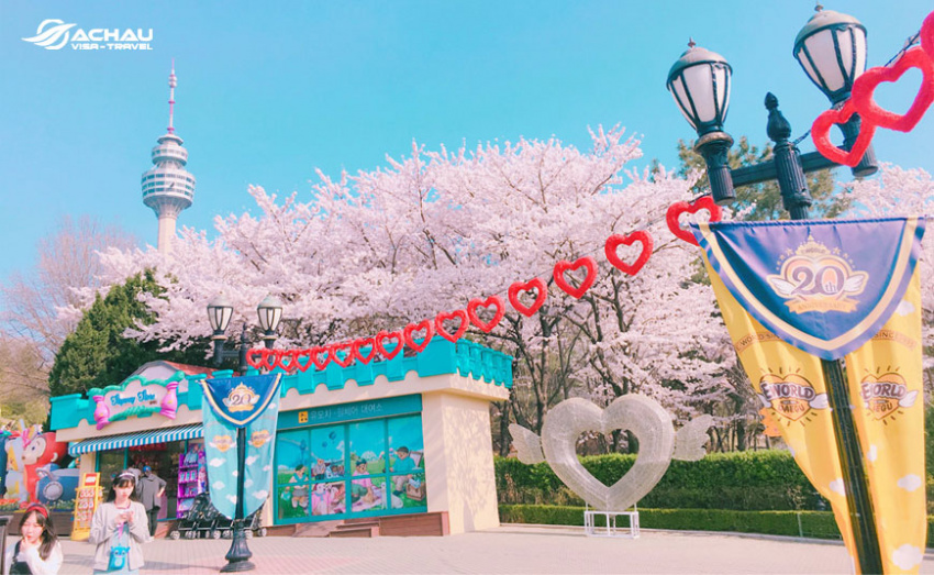 Tổng hợp thông tin về 5 lễ hội hoa anh đào tại Hàn Quốc