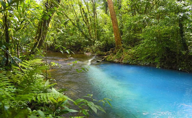khám phá dòng sông màu xanh lam bí ẩn ở costa rica