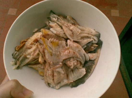 bún cá rô đồng món ăn thu hút du khách khi đến hải dương