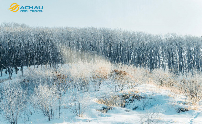 khám phá hokkaido – vùng đất lạnh giá nhất nhật bản