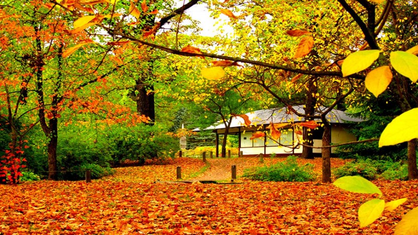 Những điểm ngắm mùa thu lý tưởng và đẹp nhất trên thế giới ...