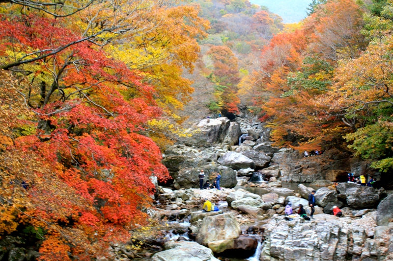 Vườn quốc gia Seoraksan ở Hàn Quốc