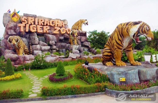 Khám phá vườn Thú Sriracha Tiger Zoo ở Thái Lan