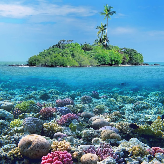 điểm du lịch thái lan: đảo san hô coral island