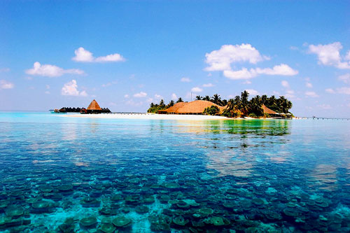 điểm du lịch thái lan: đảo san hô coral island