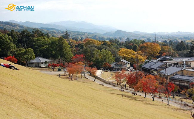 Bạn biết gì về Yamayaki – lễ hội đốt cỏ ở Nhật Bản?