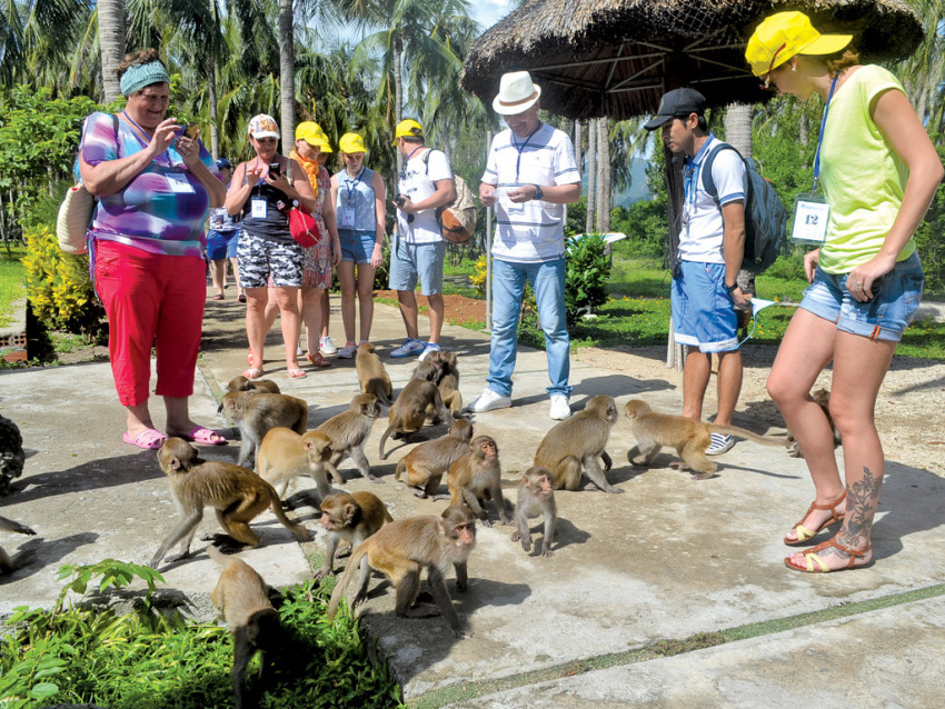 Cùng nhau đi tham quan khu du lịch Đảo Khỉ ở Nha Trang