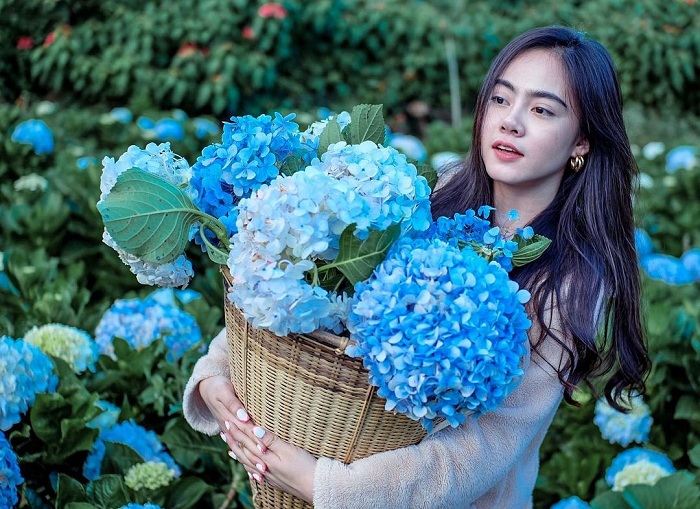 Những vườn hoa đẹp ở Thái Lan nên thơ đến xiêu lòng, tựa vườn địa đàng chốn nhân gian