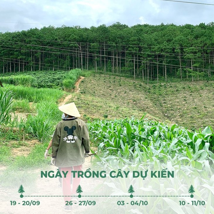 trồng cây cho đà lạt, người trẻ cả nước gây quỹ trồng cây cho đà lạt