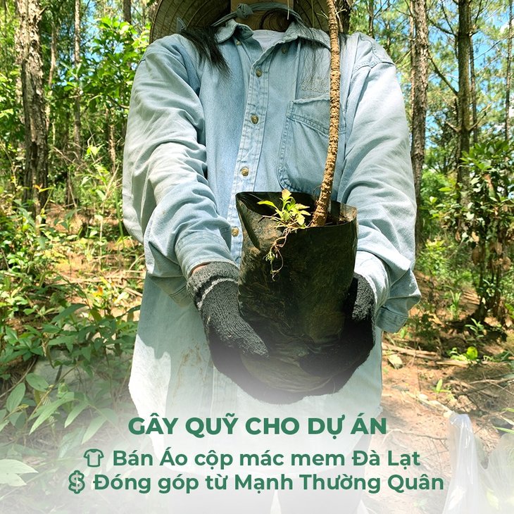 trồng cây cho đà lạt, người trẻ cả nước gây quỹ trồng cây cho đà lạt