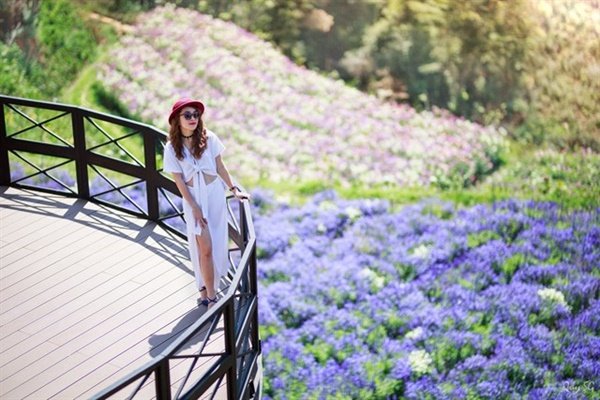 vườn hoa đà lạt, vườn hoa đà lạt đẹp ngất ngây cho du khách thoải mái check-in