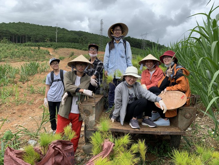 trồng 3000 cây thông con, 3000 cây thông con được gieo trồng tại đồi bồng lai (lâm đồng)