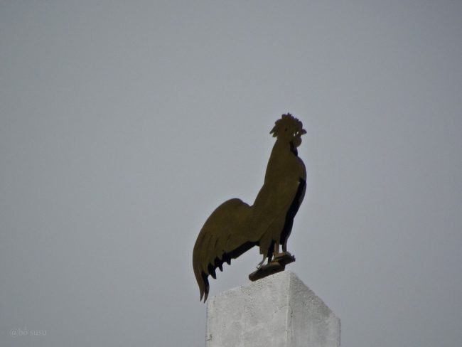 con gà, ý nghĩa của biểu tượng con gà trên tháp chuông nhà thờ chánh tòa đà lạt