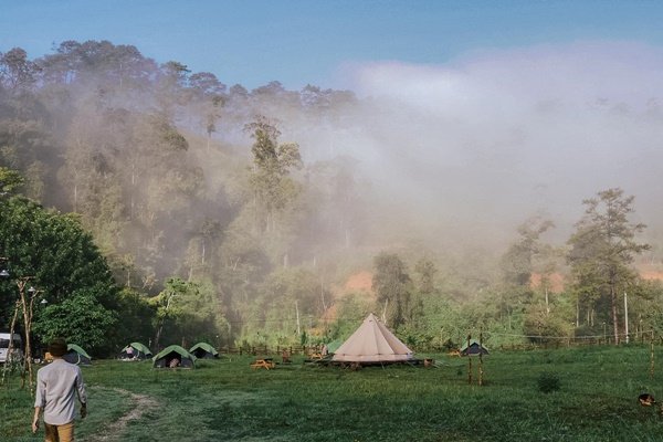 dalat camp, hot hòn họt khu cắm trại thơ mộng gần đà lạt