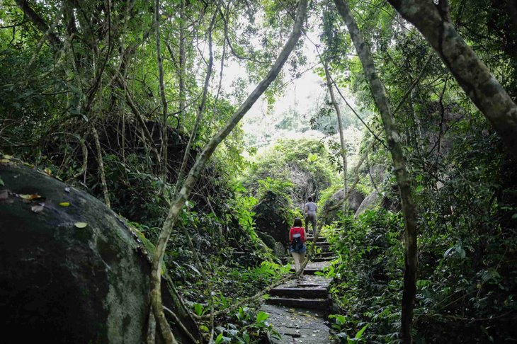 Dạo bước tại rừng Madagui - Khu du lịch sinh thái sát vách Đà Lạt