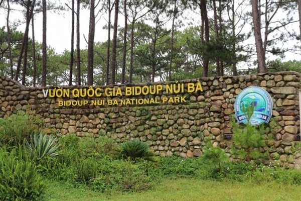 vườn quốc gia bidoup núi bà, vườn quốc gia bidoup núi bà gây ấn tượng với những giá trị sinh học vô giá