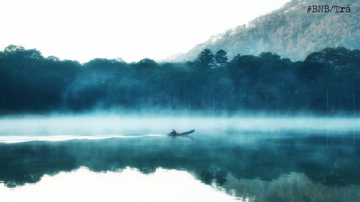 hồ tuyền lâm, ngắm nhìn nét xuân huyền ảo trong sương mai tại hồ tuyền lâm