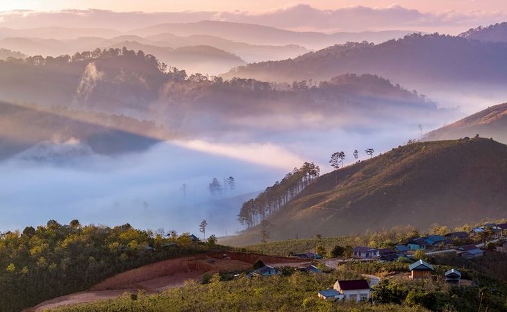 Thung Lũng Dasar - 'Lá phổi xanh' của cao nguyên Lâm Đồng làm say lòng bao du khách