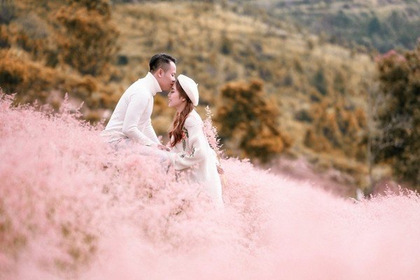 đồi cỏ hồng, lụi tim trước đồi cỏ hồng đẹp như tranh vẽ ngay hồ tuyền lâm