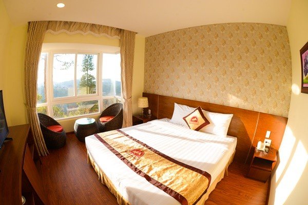 mimosa phương nam, khám phá khách sạn view rừng thông đẹp như tranh vẽ giữa lòng đà lạt
