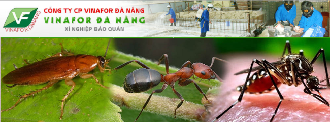 top 26 công ty diệt côn trùng đà nẵng uy tín nhất